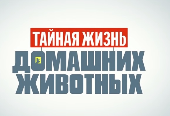 Тайная жизнь домашних животных